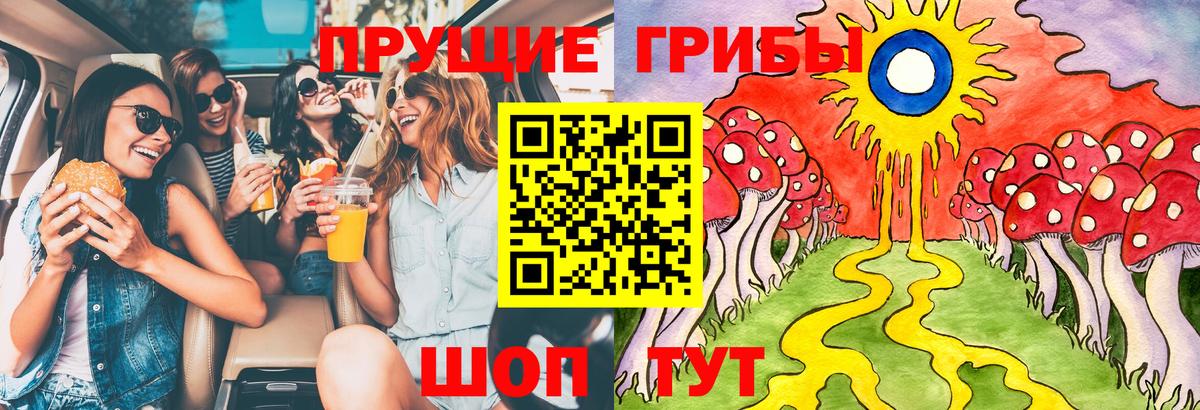 Дмитров  даркнет сайт  Вход с VPN  Псилоцибиновые грибы ЛСД 
