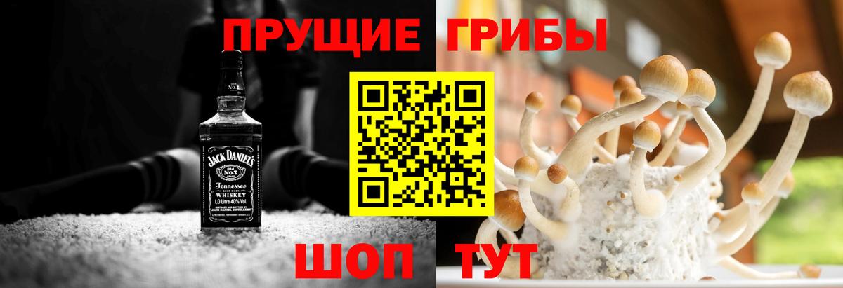 Псилоцибиновые грибы MAGIC MUSHROOMS Дмитров